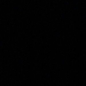 Meet your Posher, Lily